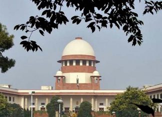 मोठा निर्णय: सर्वोच्च न्यायालयाचा भटक्या कुत्र्यांबाबत महत्त्वपूर्ण निकाल; पिसाळलेल्या व धोकादायक कुत्र्यांना ‘दयामरण’ देण्यास परवानगी