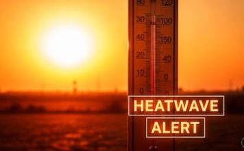 Maharashtra Weather : महाराष्ट्रात उन्हाचा कहर, तर कुठे अवकाळी पावसाचा धोका, IMD चा अलर्ट.
