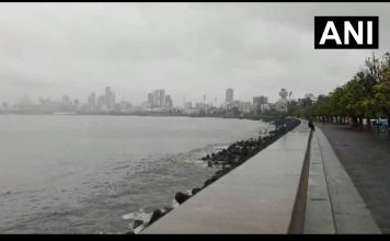 मुंबई-नवी मुंबईत पावसाचा धुमाकुळ; २४ तासांत ३०० मिमीहून अधिक पाऊस, लोकल सेवा विस्कळीत तर अंधेरी सबवे बंद!