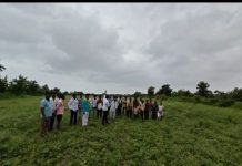 “महाराचा पाय माझ्या जमिनीला लागता कामा नये!”; जातद्वेषातून दलित शेतकऱ्याचा रस्ता अडवला, ४ एकर जमीन राहिली पडीक..