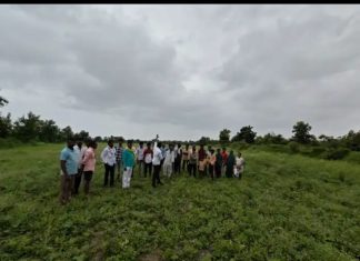 “महाराचा पाय माझ्या जमिनीला लागता कामा नये!”; जातद्वेषातून दलित शेतकऱ्याचा रस्ता अडवला, ४ एकर जमीन राहिली पडीक..