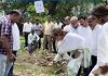 #NamakSattyagrah : “मुंबई विकू देणार नाही; मिठागरे वाचली तरच मुंबई वाचेल!”; काँग्रेस आक्रमक.